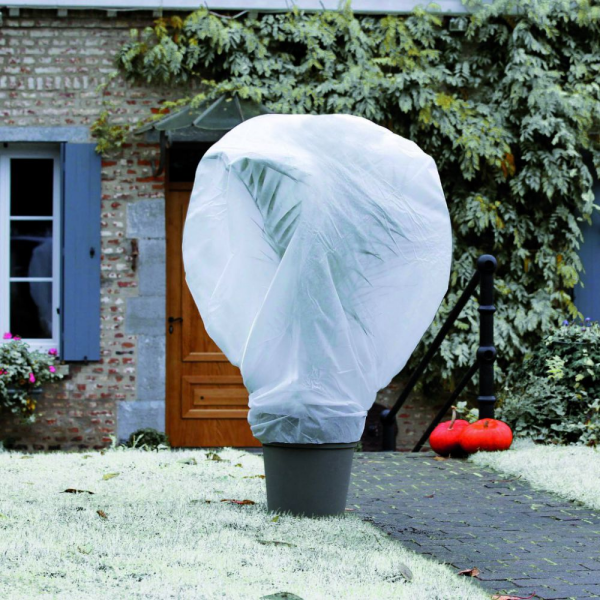 Protégez vos plantes du froid avec un voile d'hivernage - Bâche Plastique  Protection