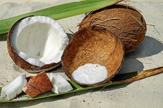 Comment faire pousser un cocotier à partir d'une noix de coco